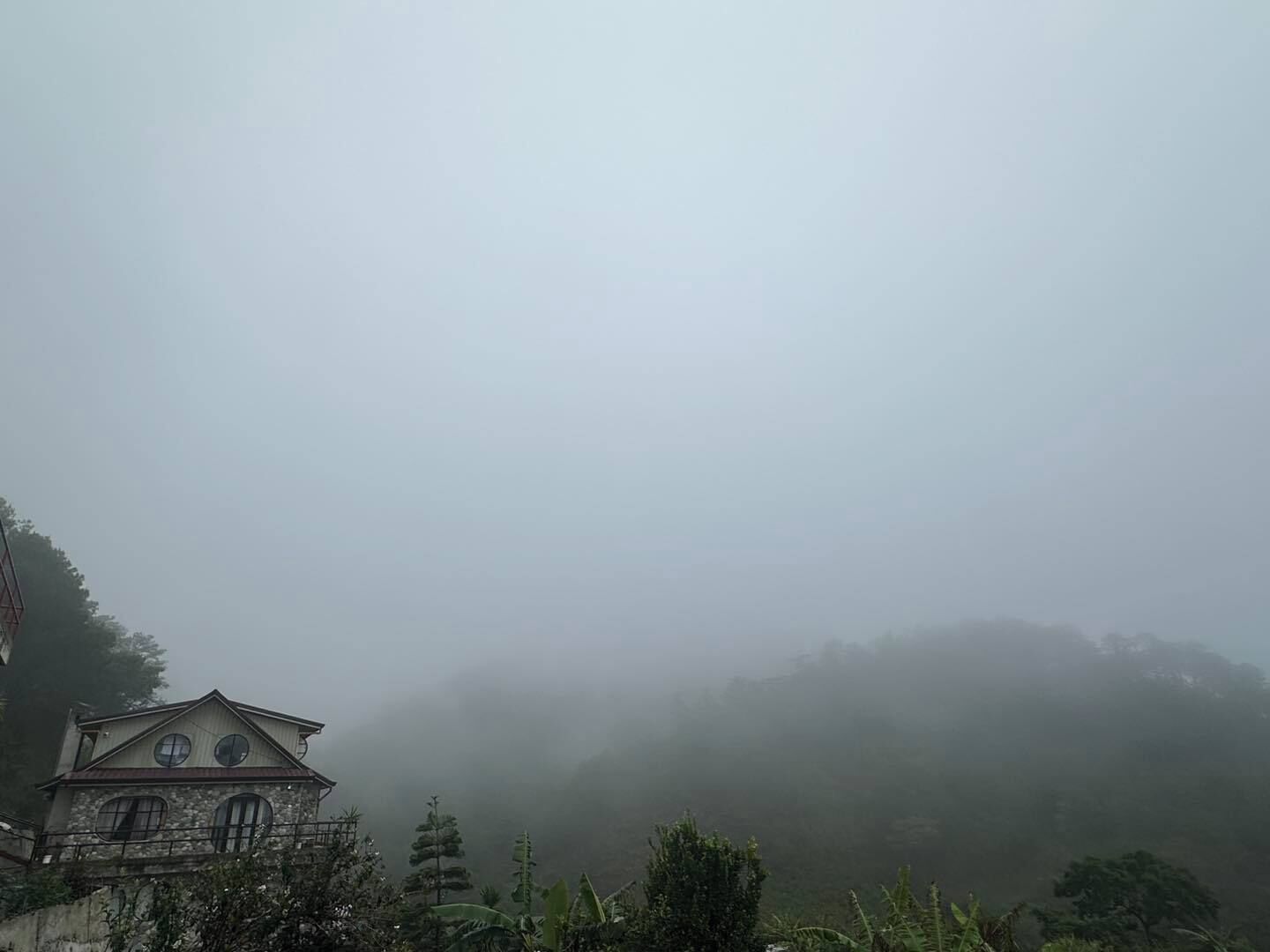 A building with a stone facade and multiple windows, surrounded by dense fog and greenery.