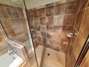 Shower, hair dryer, towels - NEW! 3BR Red Hawk Townhome - Gondola Access (Keystone)
