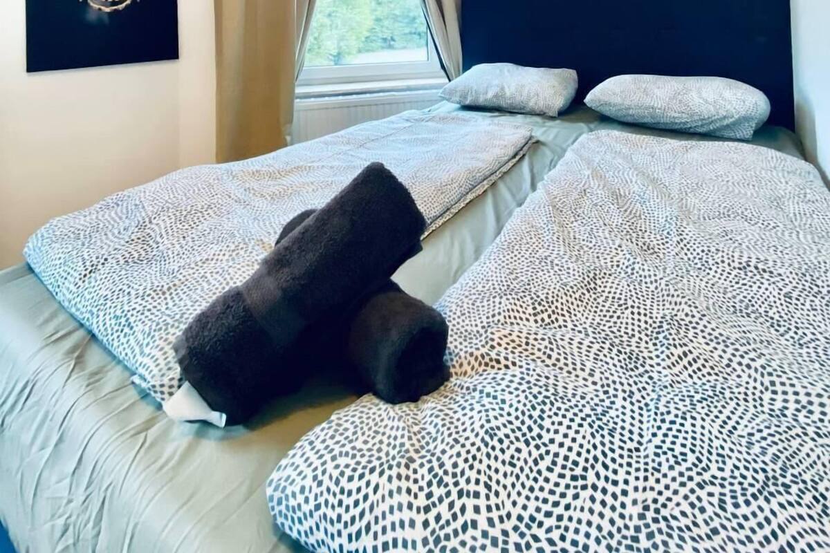 A bedroom with a bed, a window with curtains, and a wall-mounted picture.