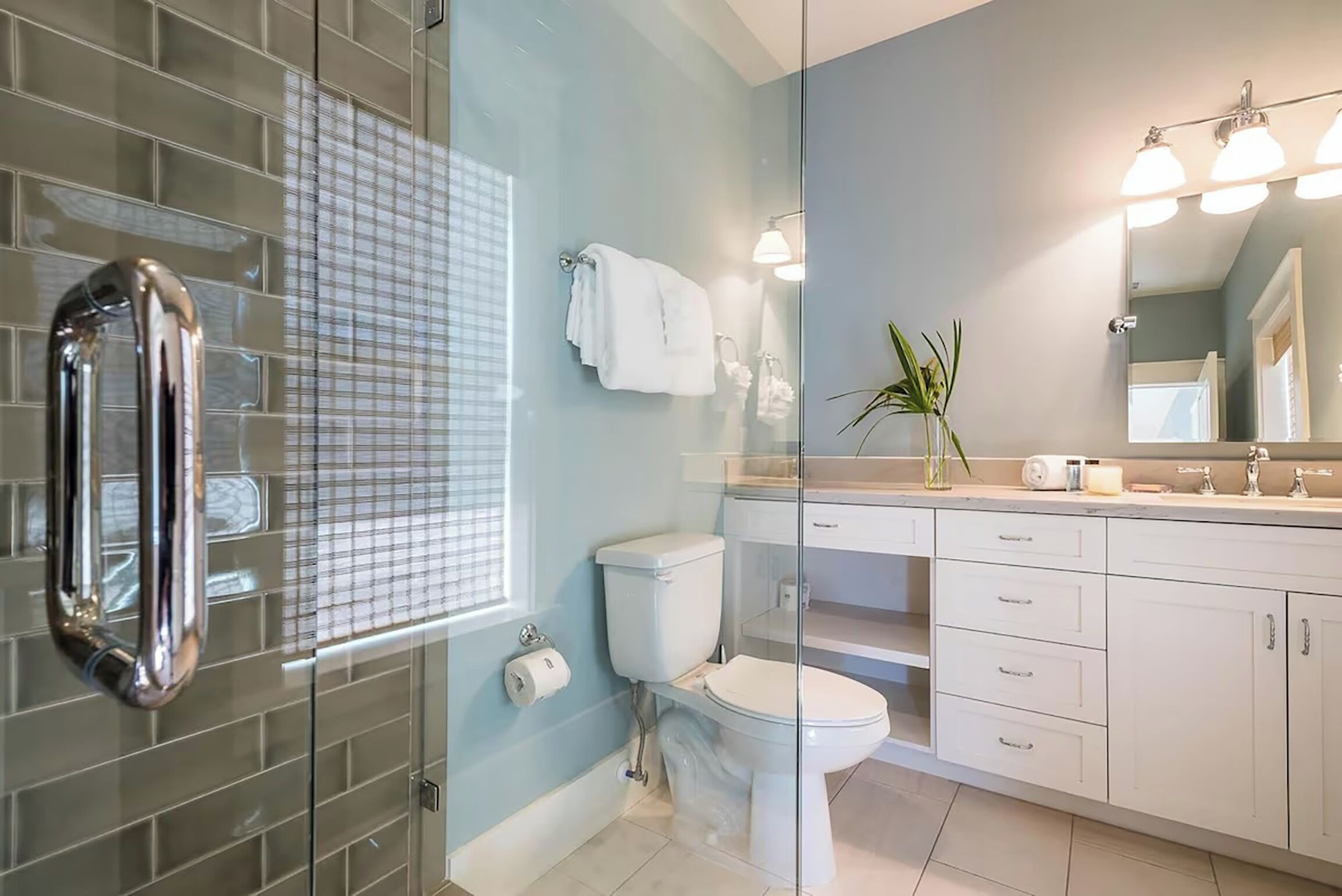 Un bany modern amb plat de dutxa de vidre, un vàter blanc, un lavabo amb mirall i una planta al taulell.