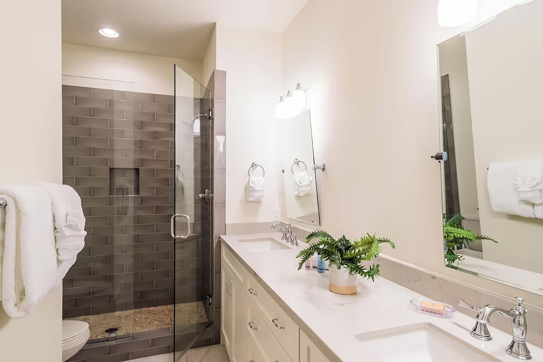 A modern bathroom with a glass-enclosed shower, a large mirror, and a white sink with a plant on the counter.