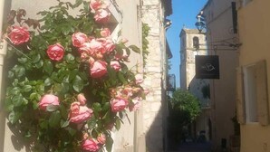 Una calle estrecha con un edificio a la izquierda adornado con un rosal.