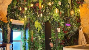A room with a green wall covered in plants and hanging light bulbs. - La Grotte Fleurie - 5-star rating (Mussidan)