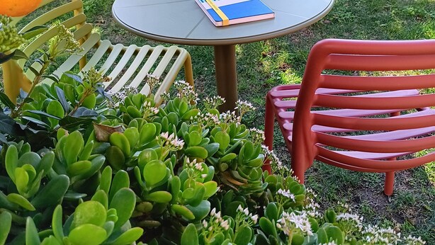 A garden setting with a round table, two chairs, and a book. - Double Room. The Garden. Rooms & Breakfast. (La Maddalena)