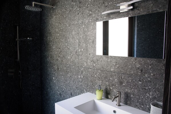 Shower, hair dryer, bidet, towels