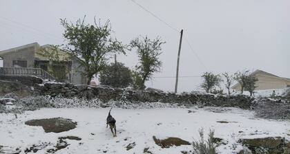 Village of Moura Morta