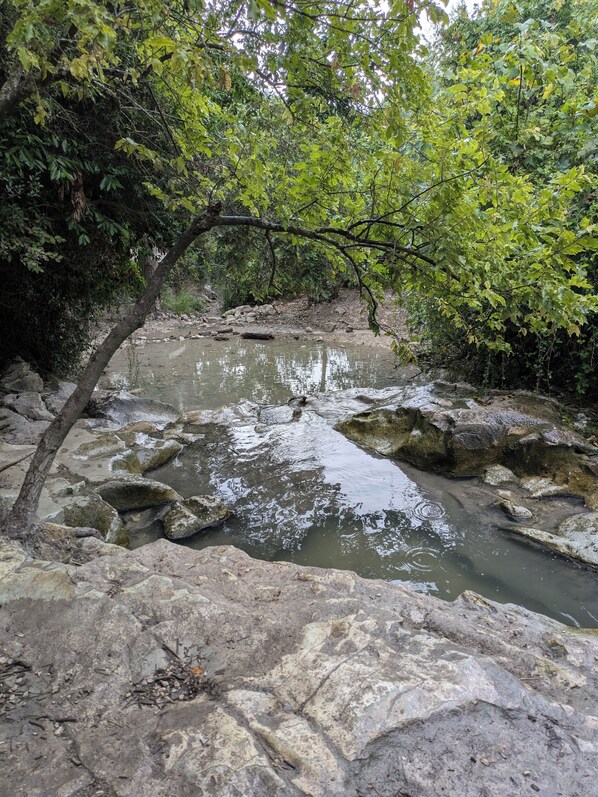 Property grounds - BETWEEN VALLEY & MOUNTAIN - Charming guest suite in tranquil Yokne'am Hamoshava (Yokne'am)