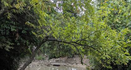 BETWEEN VALLEY & MOUNTAIN - Charming guest suite in tranquil Yokne'am Hamoshava