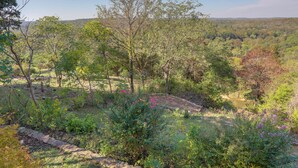 A natural landscape with trees and shrubs, a stone pathway, and a view of distant hills. - 'The Treehouse' in Cherokee Village: Deck & Views (Cherokee Village)