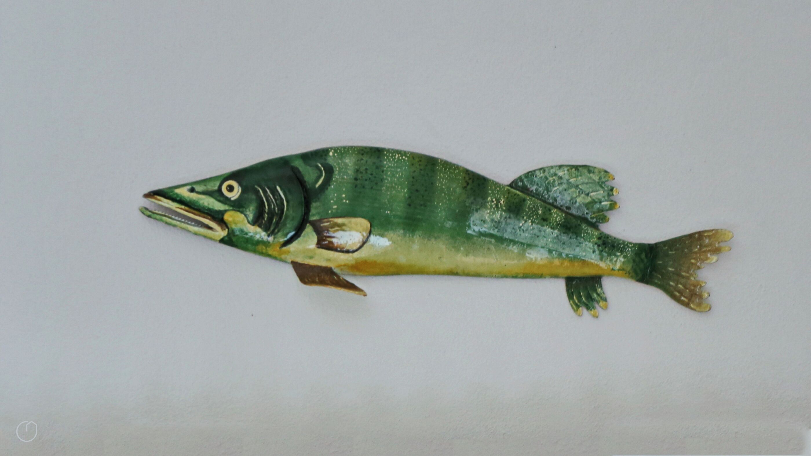 A fish.