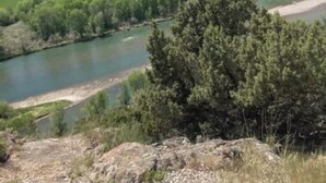 Ein Fluss fließt durch eine grüne Landschaft mit Bäumen und offenen Feldern.