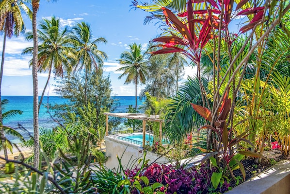 Water view