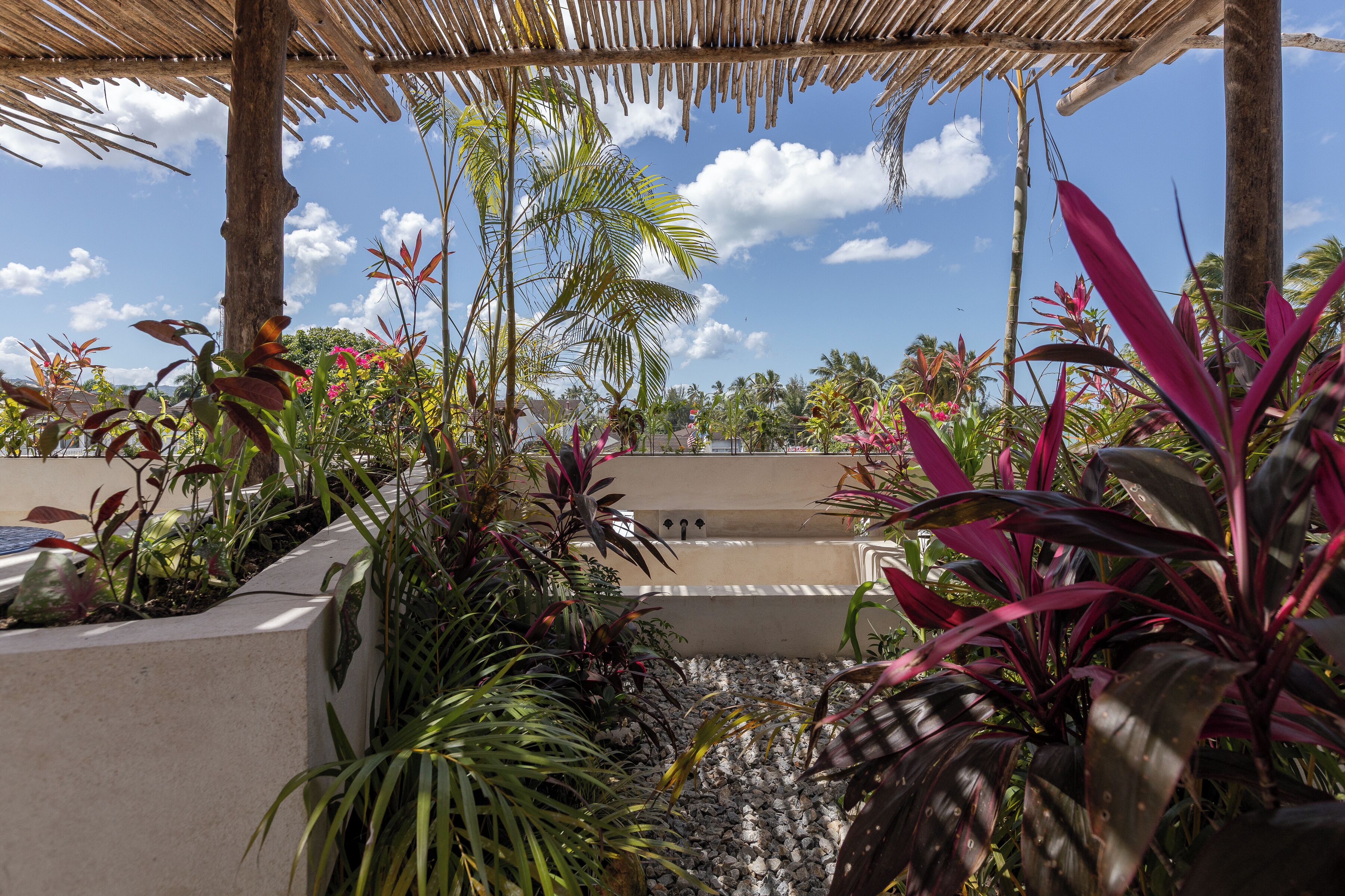 A tropical garden with a stone water feature, palm trees, and various plants.