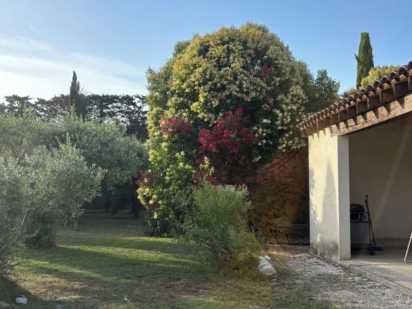 A garden with various shrubs and a tree with red flowers, a building with a tiled roof, and a clear sky. - Beautiful Provençal farmhouse with swimming pool. (Châteaurenard)