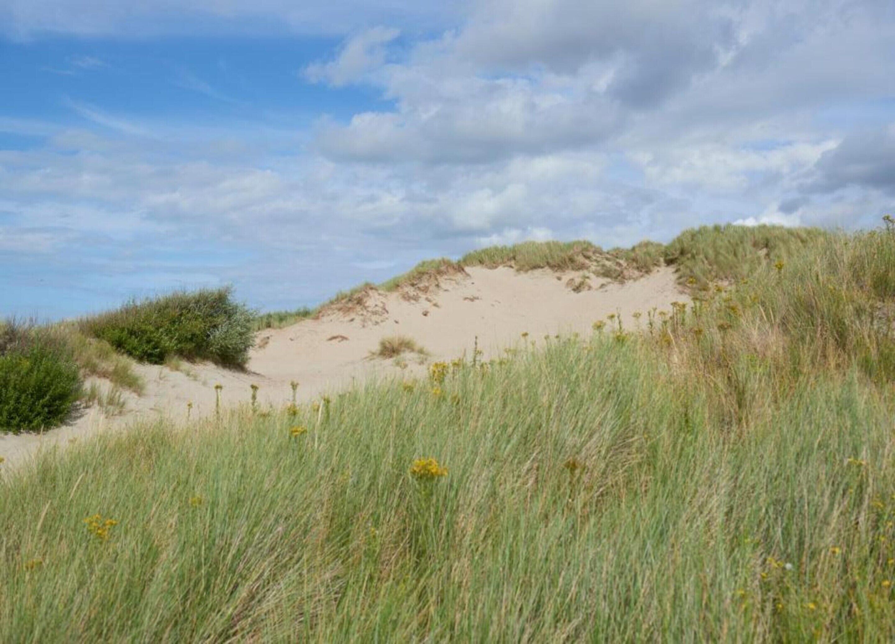 A coastal landscape with sand dunes, grassy vegetation, and a partly cloudy sky.