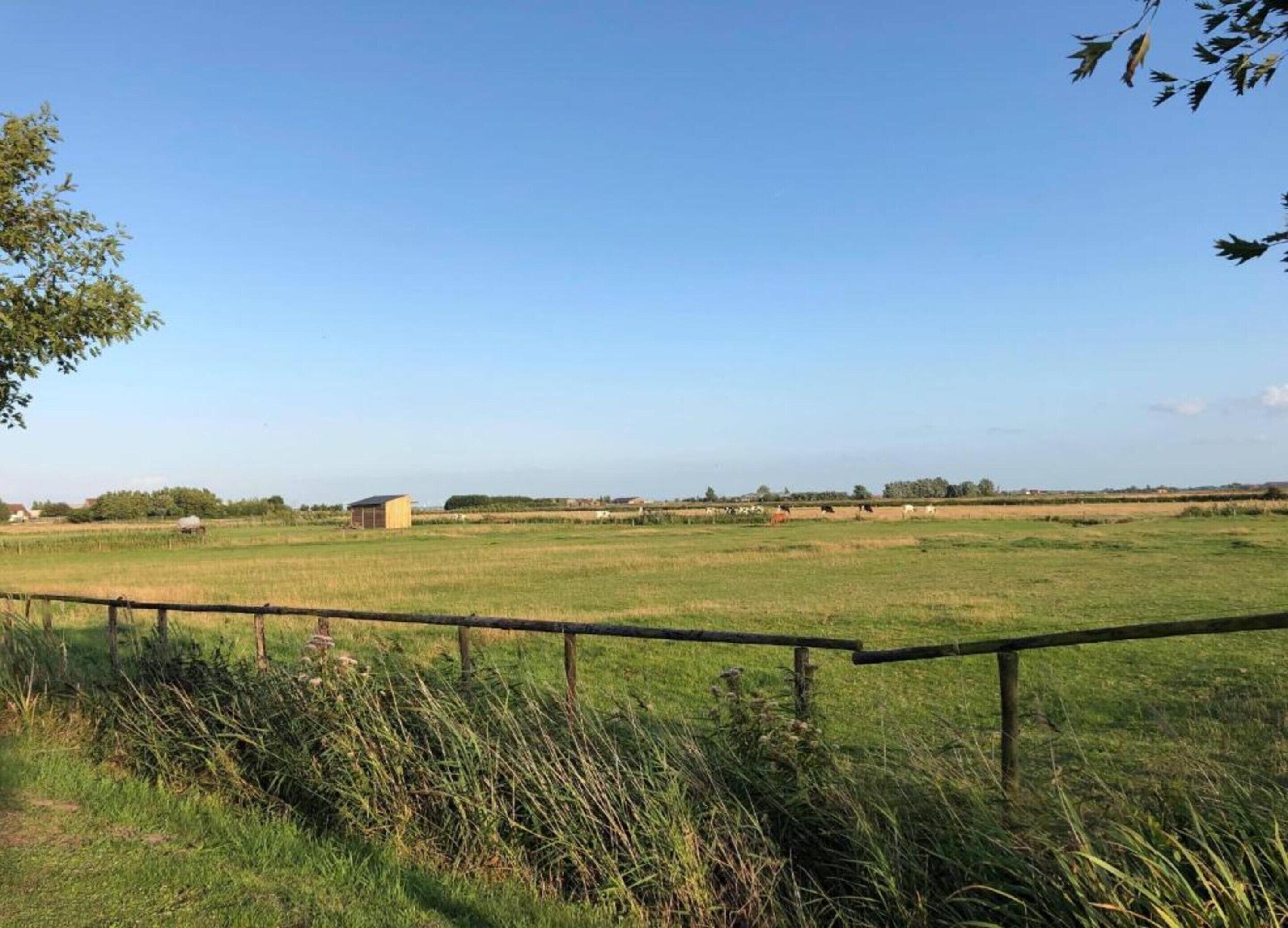 A rural landscape with a fenced field, a small building, and distant trees.
