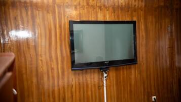 Television