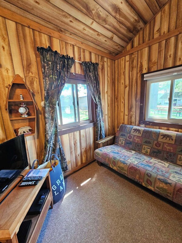 Télévision, lecteur de DVD, livres