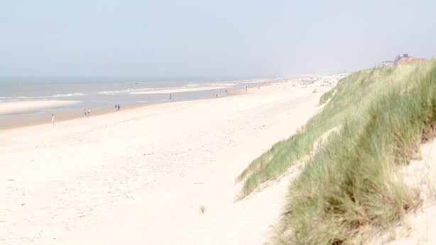Ein Strand mit Dünen und blauem Himmel.