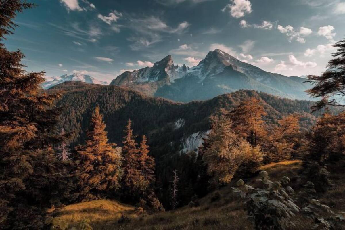Un paysage montagneux caractérisé par une forêt dense et un sommet imposant.