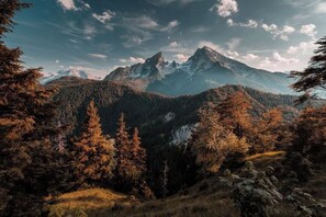 A mountainous landscape with dense forest and a prominent peak. - Longteng Boutique Hotel (Shenzhen Baoneng Center Sungang Subway Station Branch) (Shenzhen)