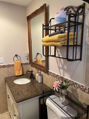 Hair dryer, bidet, towels, soap