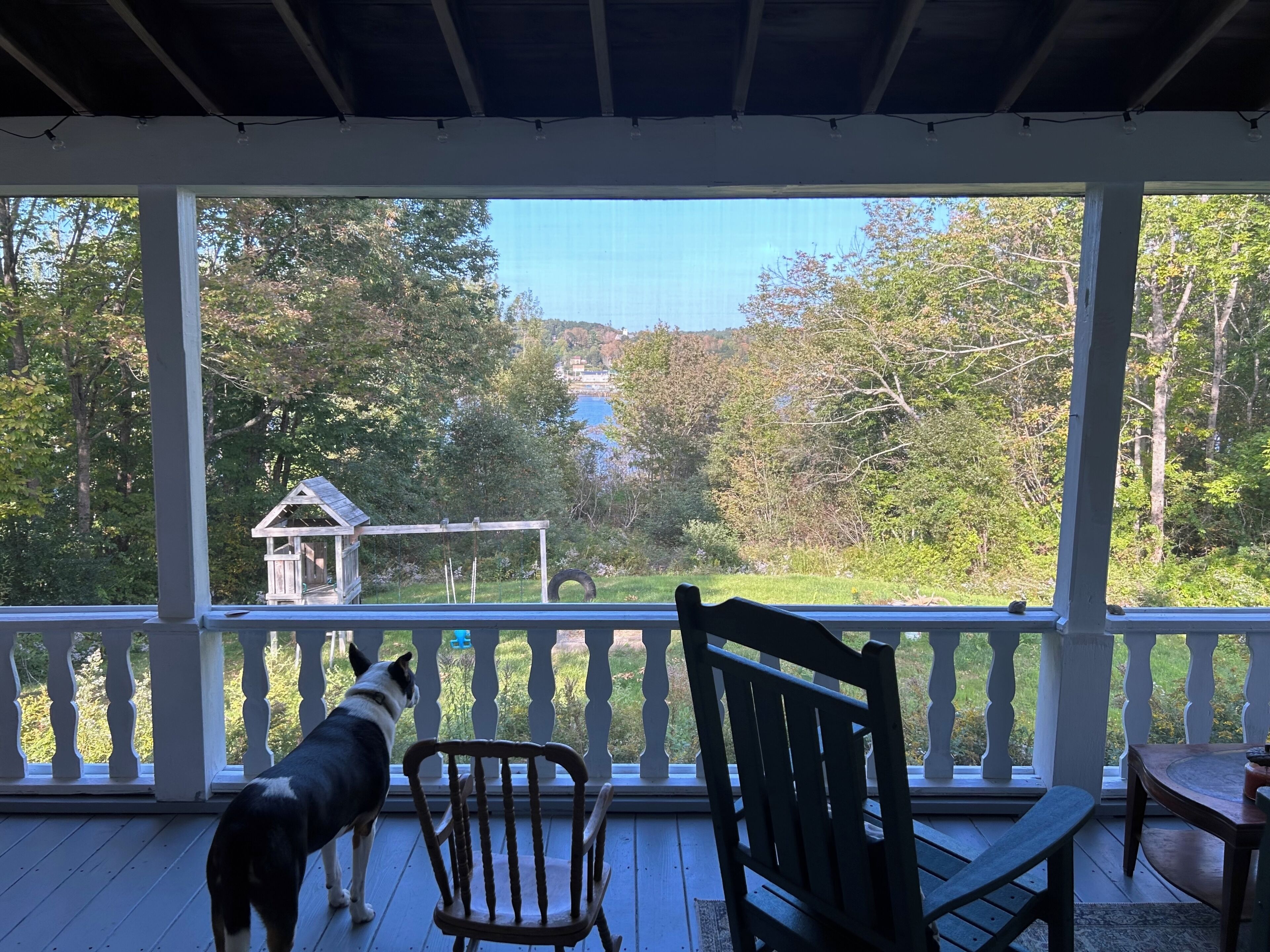 A covered porch with a wooden bench and a dog.