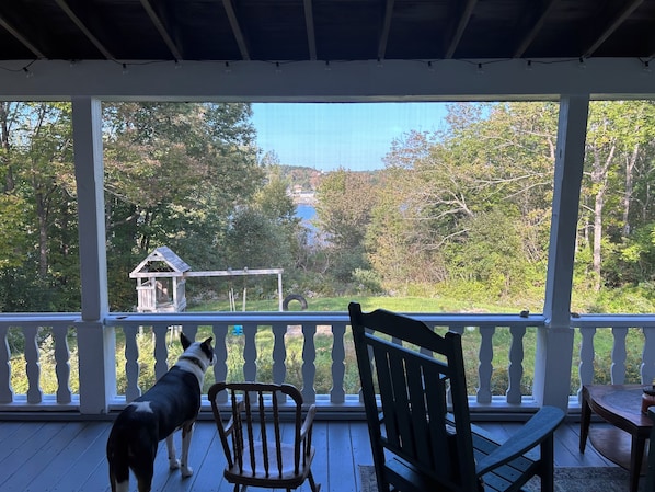 A covered porch with a wooden bench and a dog.