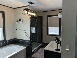 Hair dryer, towels, soap, toilet paper