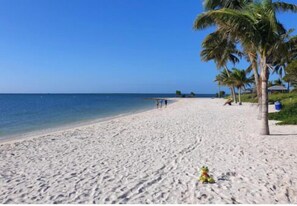 Serviettes de plage