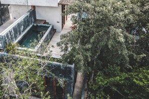 Property grounds - Casa Jade: Luxury Retreat w/ Private Rooftop Pool (Q.R.)