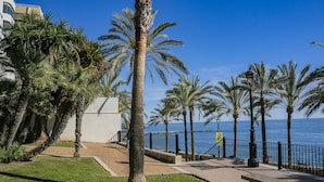 A coastal promenade with palm trees, a bench, and a clear view of the sea.