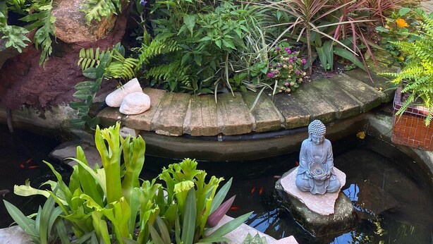 A garden with a variety of plants, a Buddha statue, and a small pond. - Casa Artística Pousada Leão (Maceio)