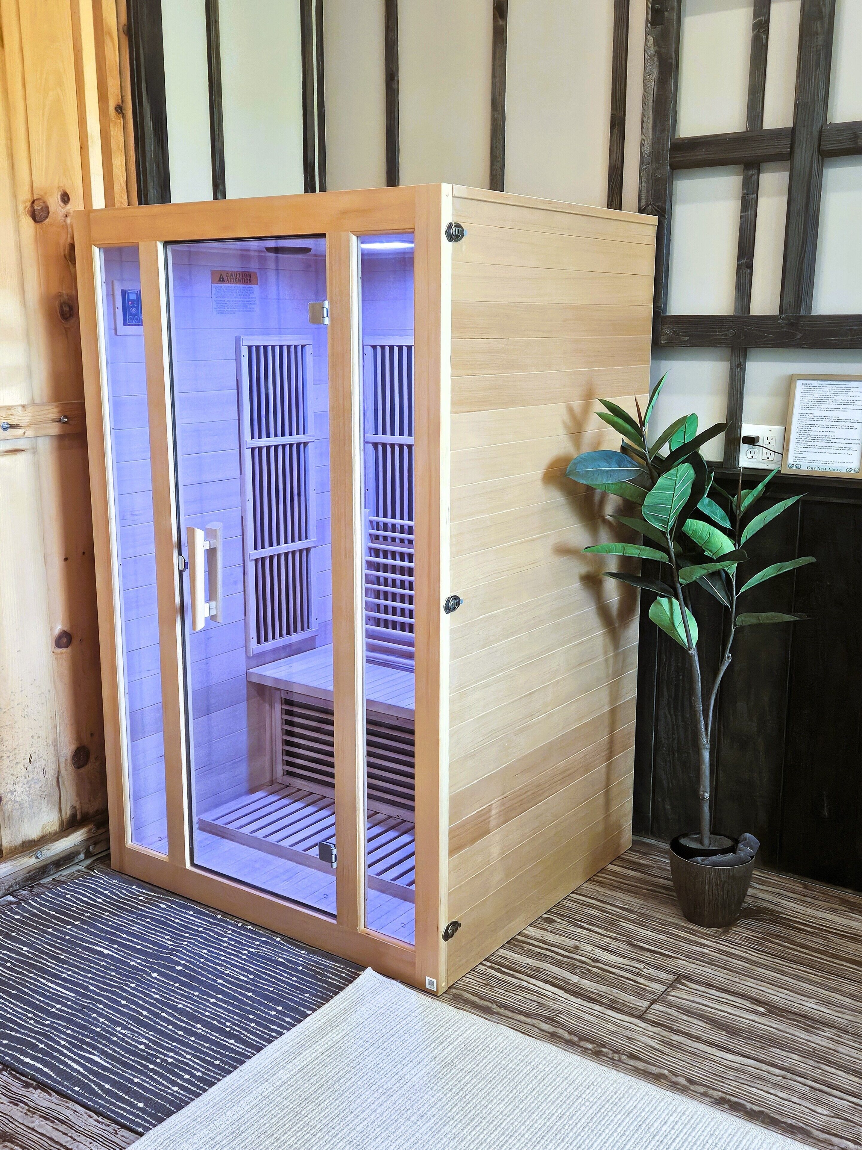 A sauna room with a wooden door, a small plant, and a mat on the floor.