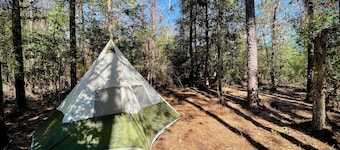 Christian Retreat Campsite #1 - Genesis