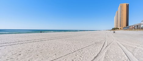 Nära stranden