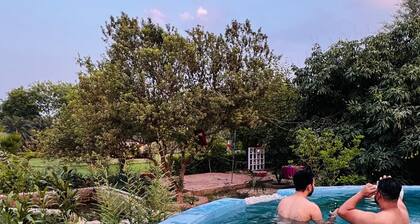 Royal Palm Villa