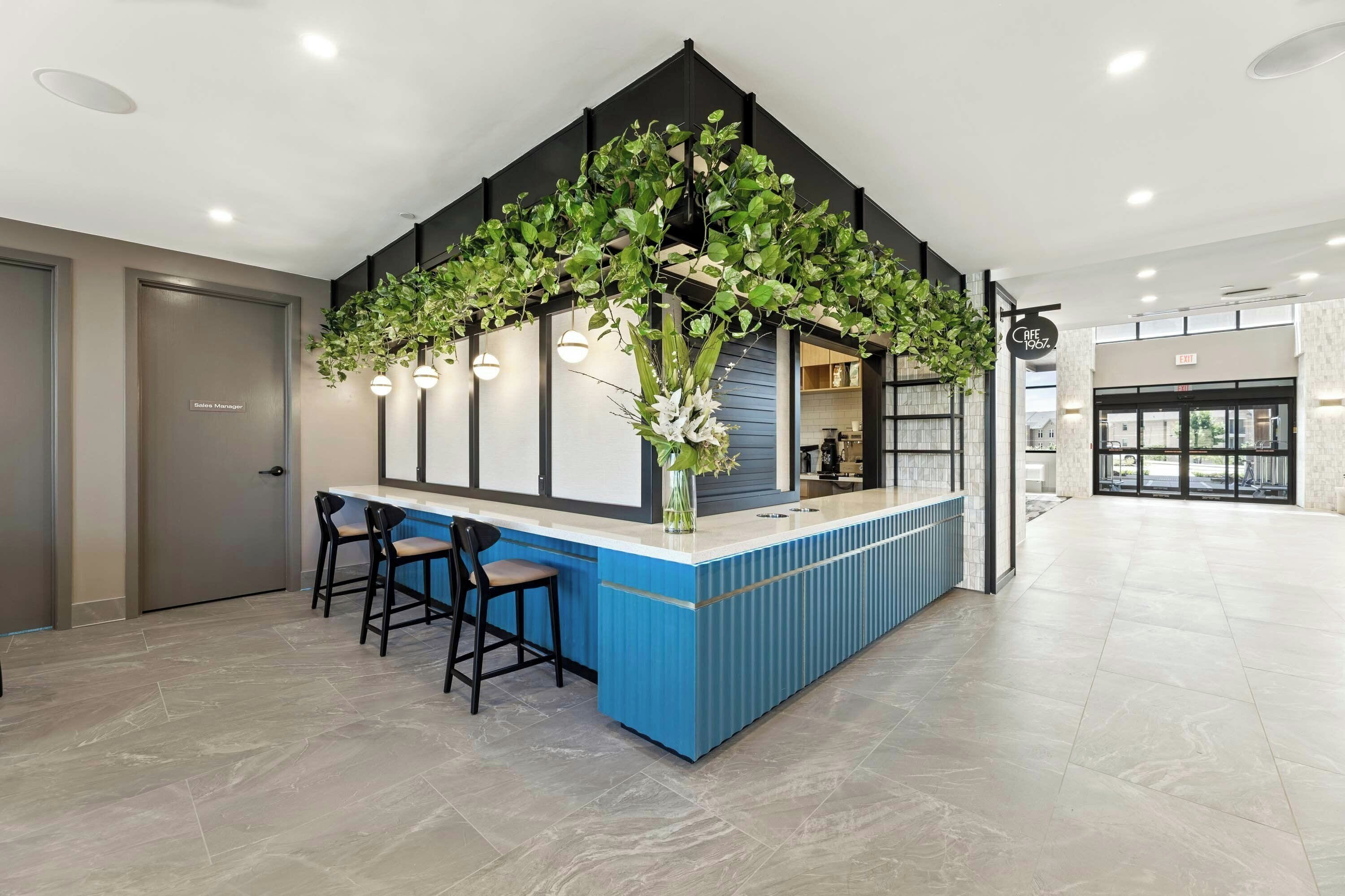 Zona de bar moderna con una barra azul, dos taburetes y plantas colgantes.