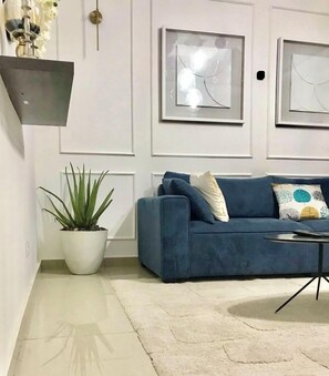 TV connectée, cheminée, jeux vidéo, livres