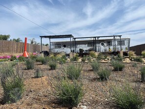 Overnattingsstedets uteområder