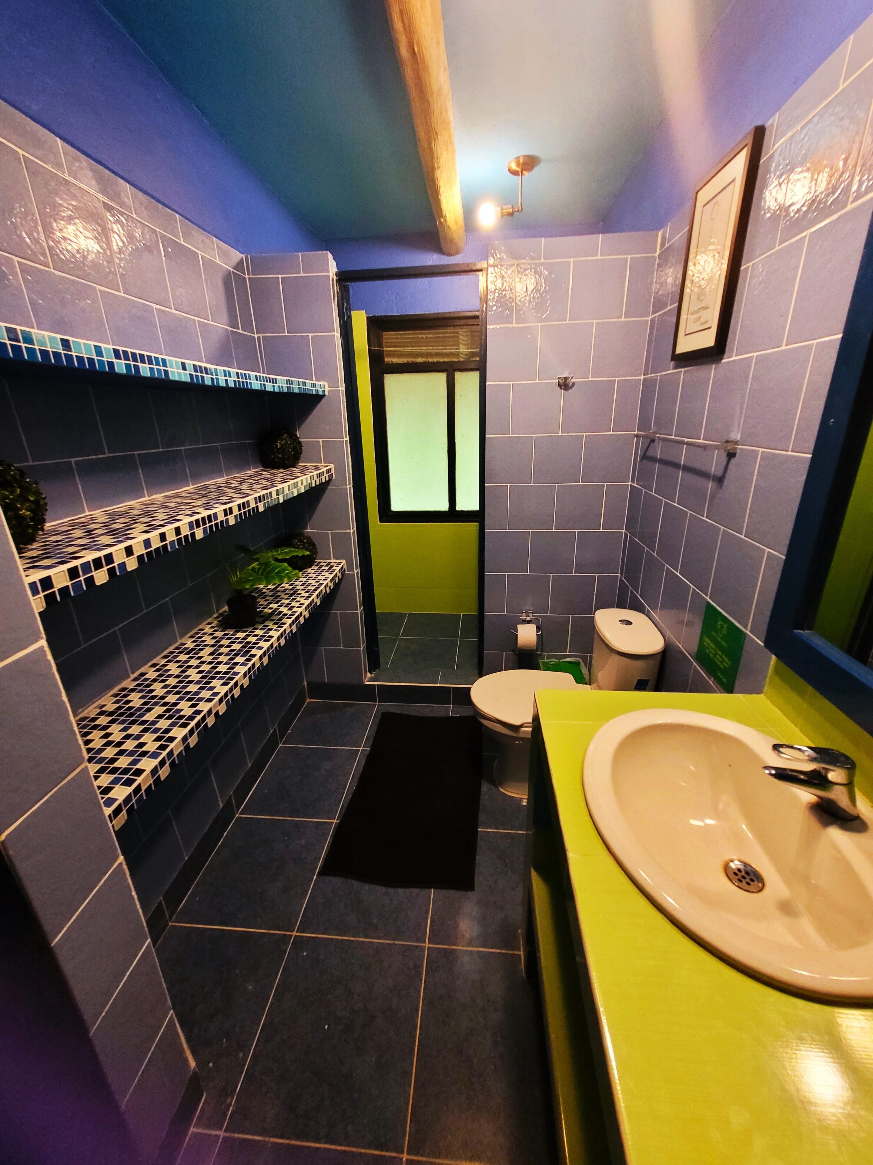 Casa de banho compacta com sanita, lavatório e prateleiras com plantas.