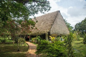 View from room - Hato San Pablo (Orocue)