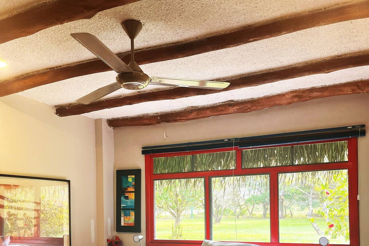 A bedroom with a bed, a ceiling fan, a window with a view of greenery, and a framed picture on the wall.
