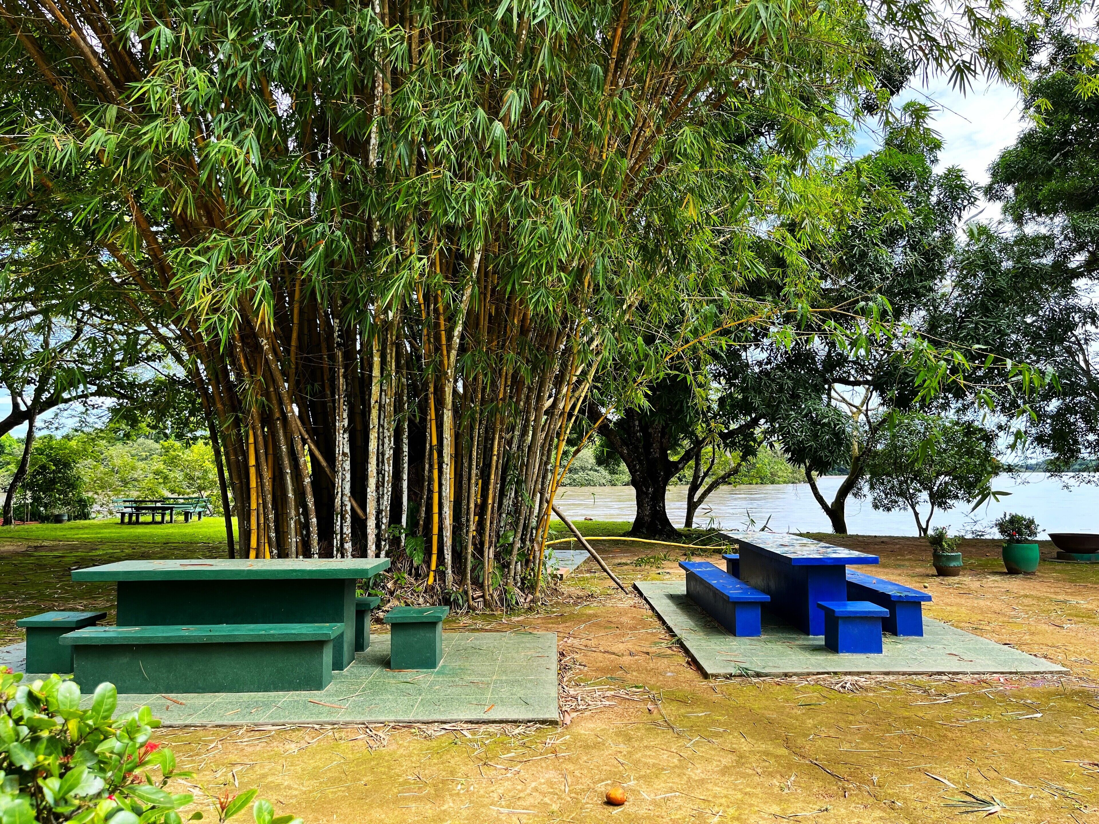 Un parque con árboles de bambú, bancos verdes y azules, y una masa de agua tranquila al fondo.