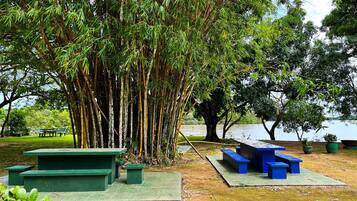 Un parque con árboles de bambú, bancos verdes y azules, y una masa de agua tranquila al fondo.