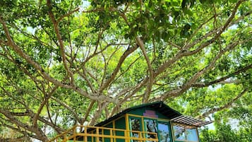 Casa de árbol Deluxe, balcón, vista al río | 1 habitación, wifi gratis y ropa de cama