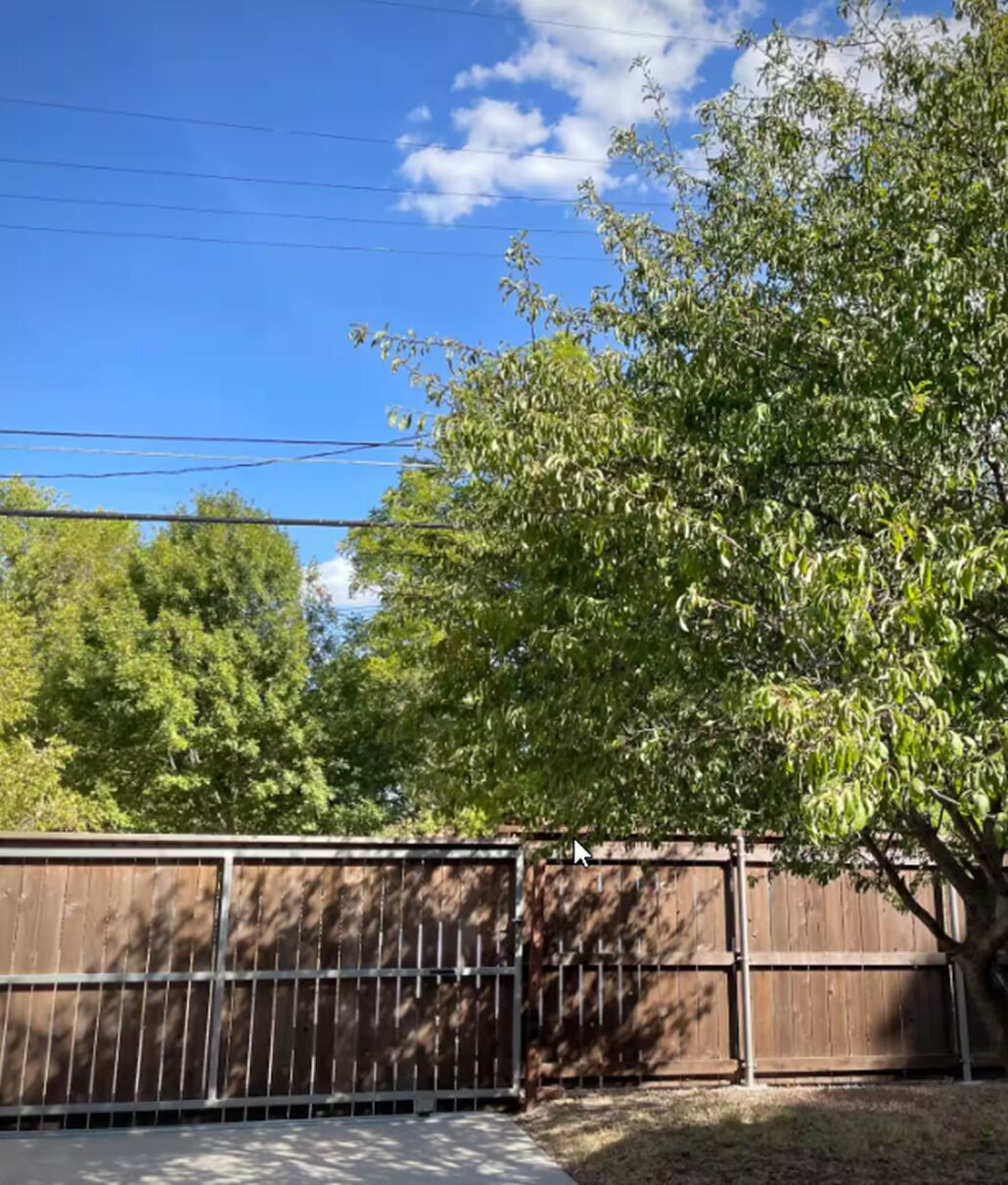 Une cour clôturée avec un arbre et une clôture en bois.