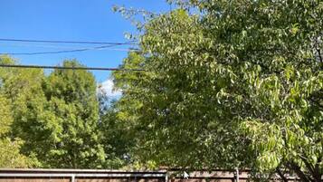 Une cour clôturée avec un arbre et une clôture en bois.