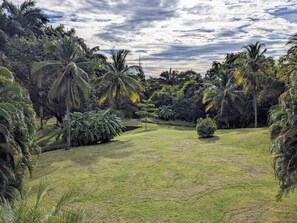 Property grounds - Playa Azul Retreat - Minutes from Beach! (Santa Cruz)