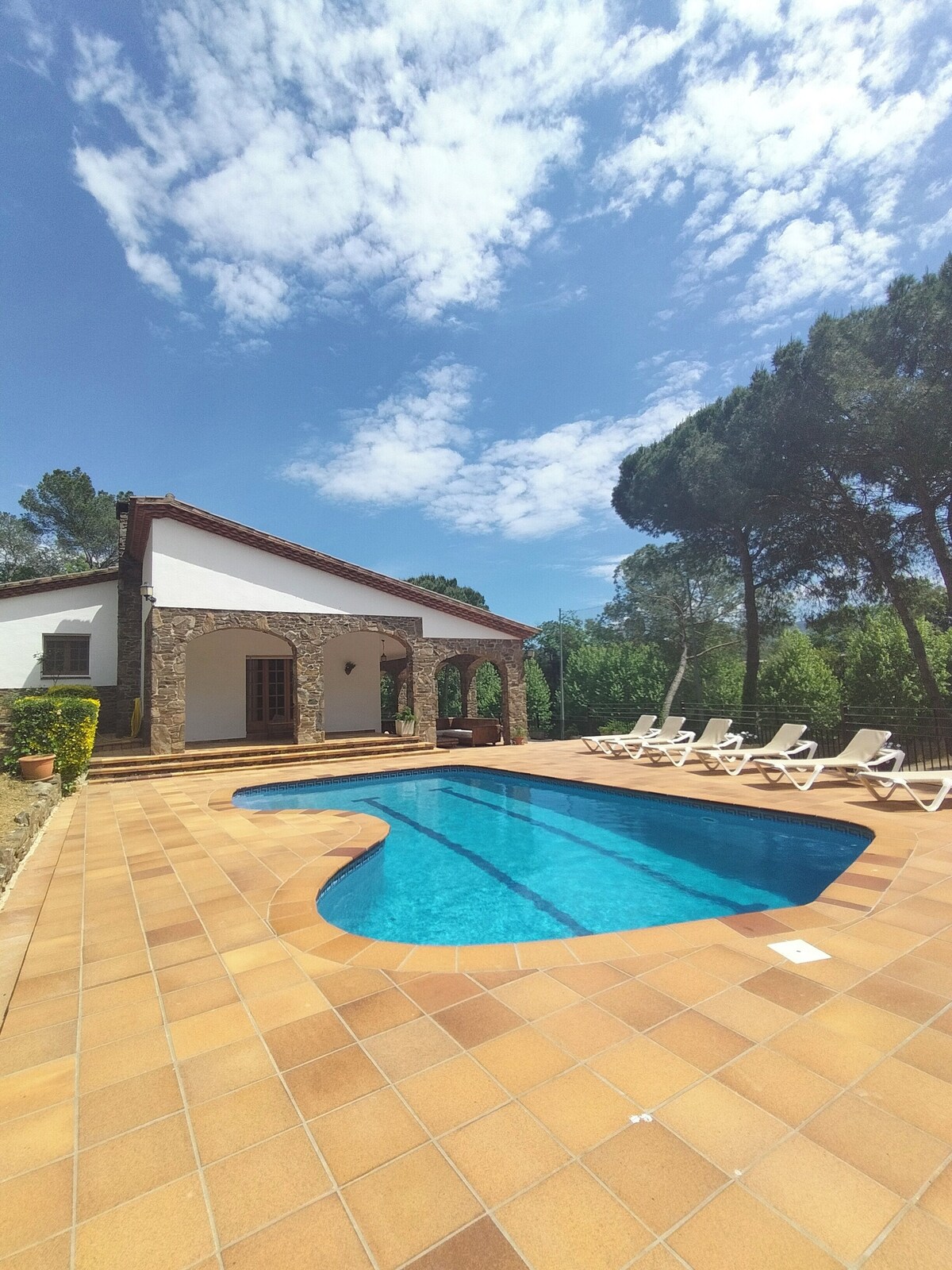 オーナーのプロフィール画像